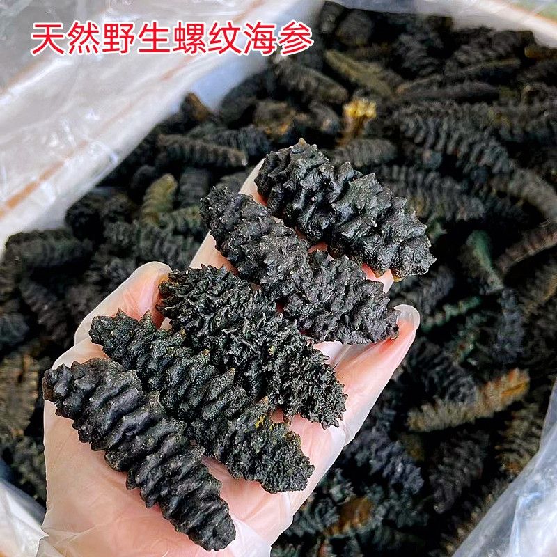 带刺螺纹海参刺参龙纹海参 煲汤煲粥滋补天然野生阳江海产品干货