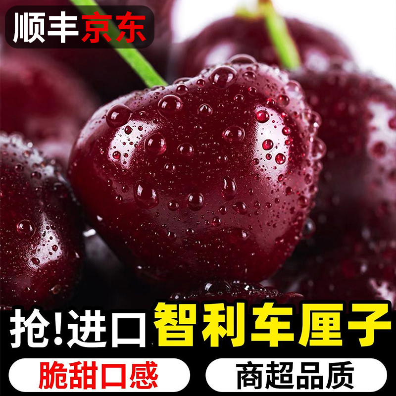 S1【顺丰京东】智利空运车厘子新鲜水果XL-5J 内附果径卡0.9-5斤