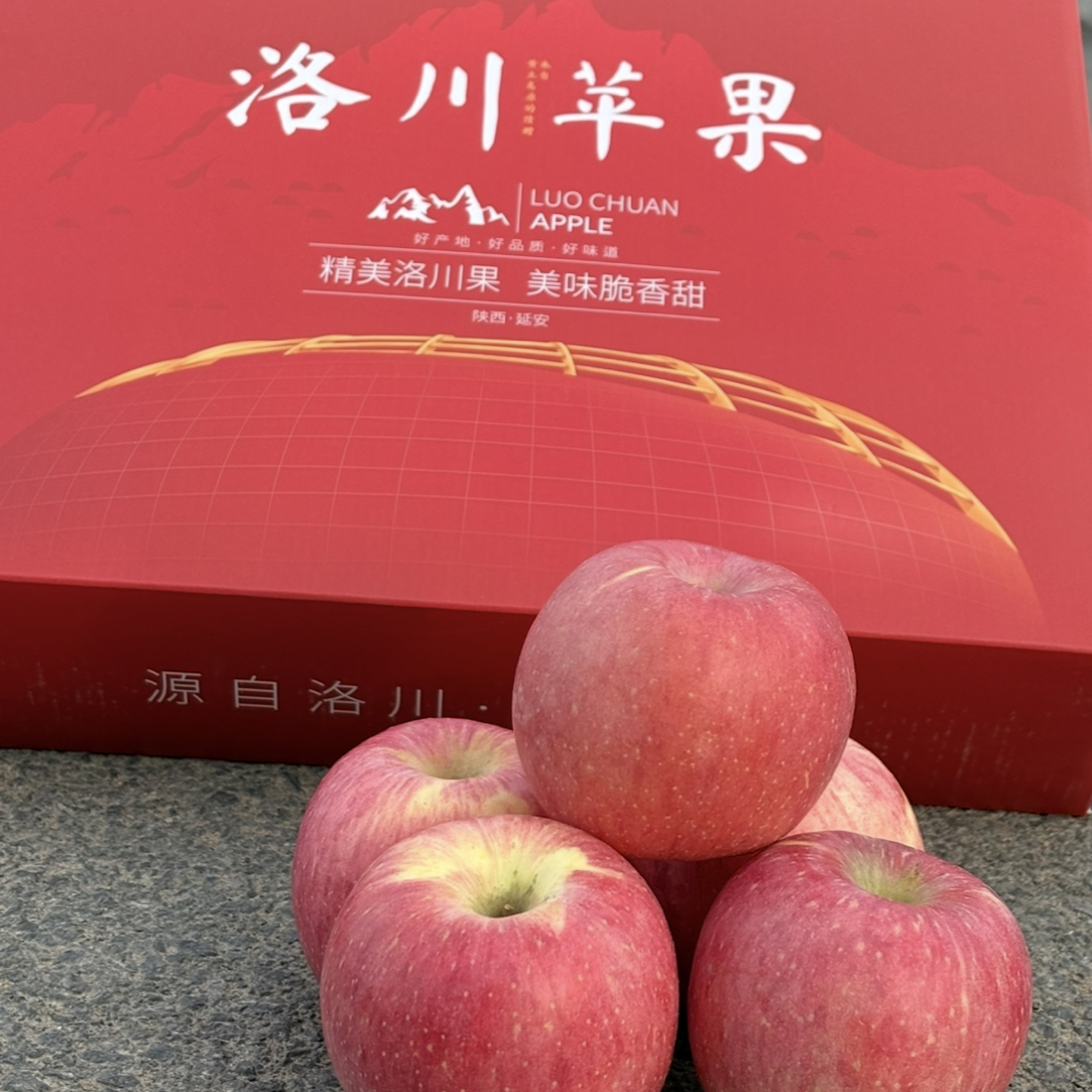 （礼盒装）脆甜多汁正宗2025年头茬新果洛川早熟苹果产地直发