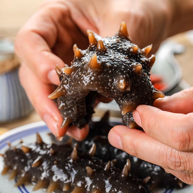 大连海参【6-8cm】  35只 海参 活参加工 现挑 现发 大连辽参