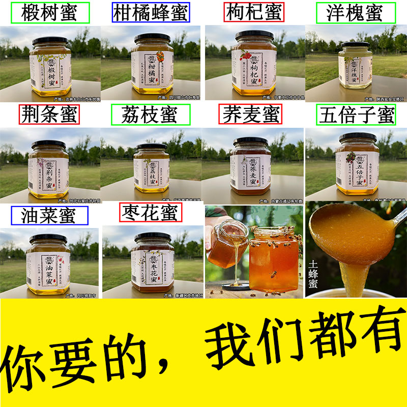 【41.5-42.5波美度】10斤天然蜂蜜正宗野洋槐蜜山花蜜五味子枣花蜜