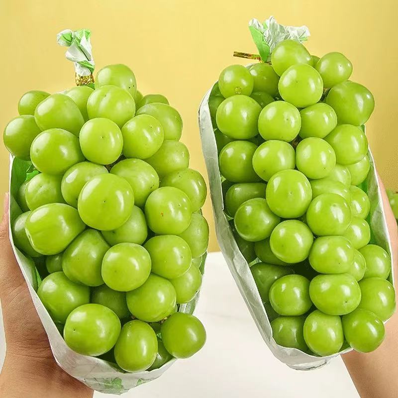 阳光玫瑰葡萄晴王葡萄云南大理宾川果园现摘新鲜水果整箱包邮