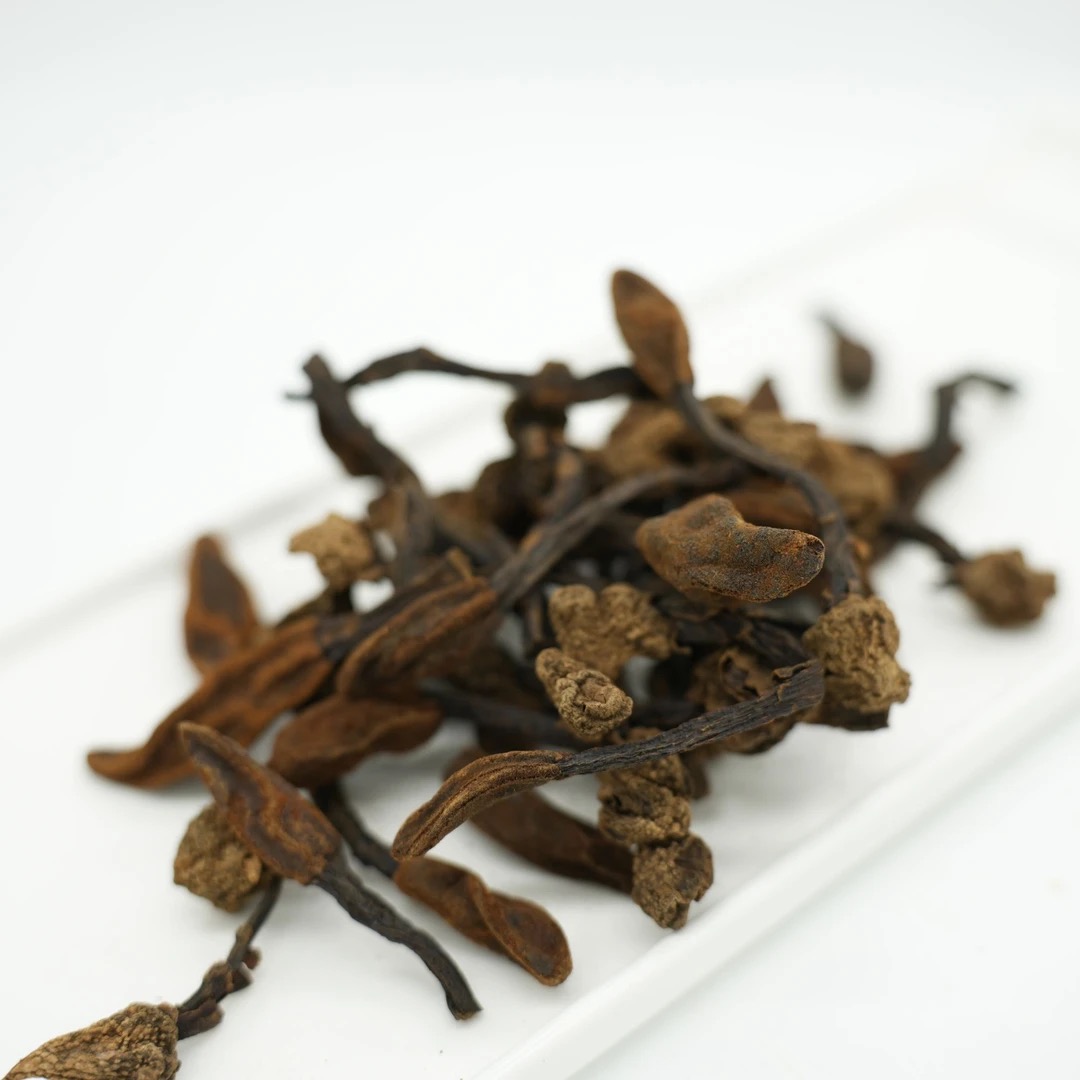 【回春草】云南深山野生回春草顶天柱野生茶干货绿植