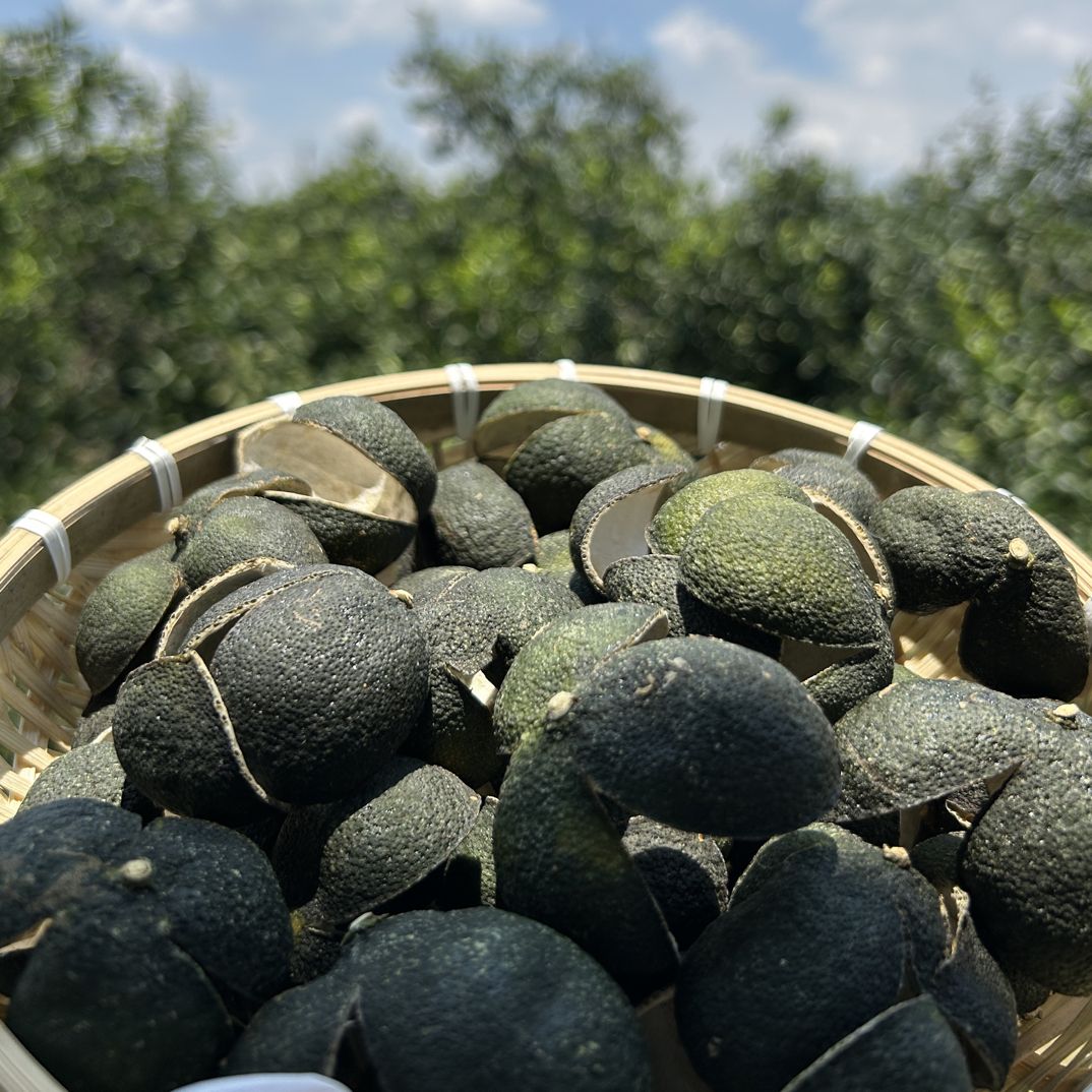 2025年新会陈皮老树三花青（果农自产自销）