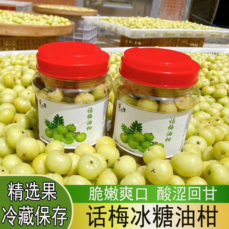 【JD/SF速发】福建腌制话梅油柑果闽南特色零食冰糖余甘果咸甜油甘