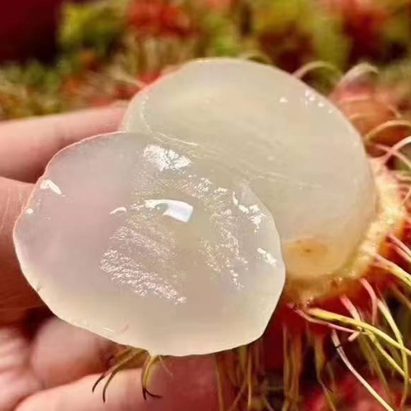 （顺丰冷链）海南红毛丹大果毛荔枝当季现摘热带孕妇鲜甜毛丹整箱
