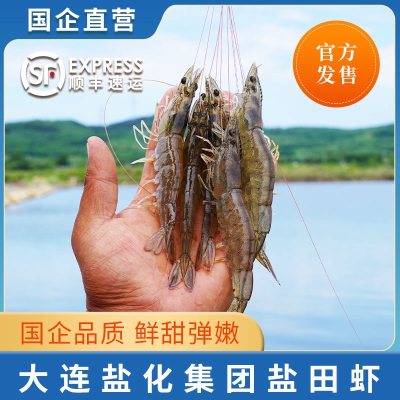 【活虾速冻】3斤复州湾盐场盐田虾(平均20-25只/斤)【有大有小】