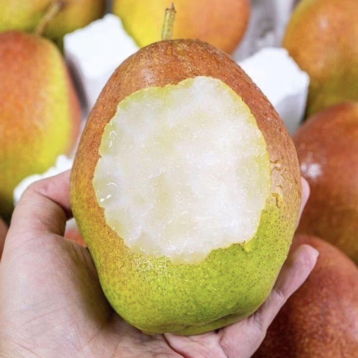 【脆甜多汁】正宗山东媚梨脆甜多汁纯甜无渣农家种植包邮