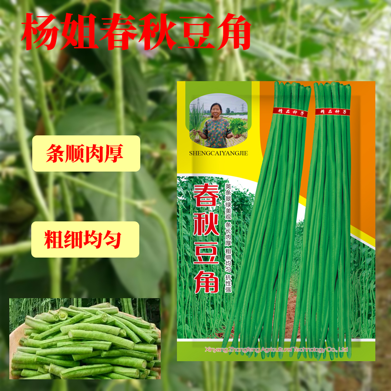 春秋豆角高产长豆角豇豆种子春秋农家蔬菜种植发芽生长适应