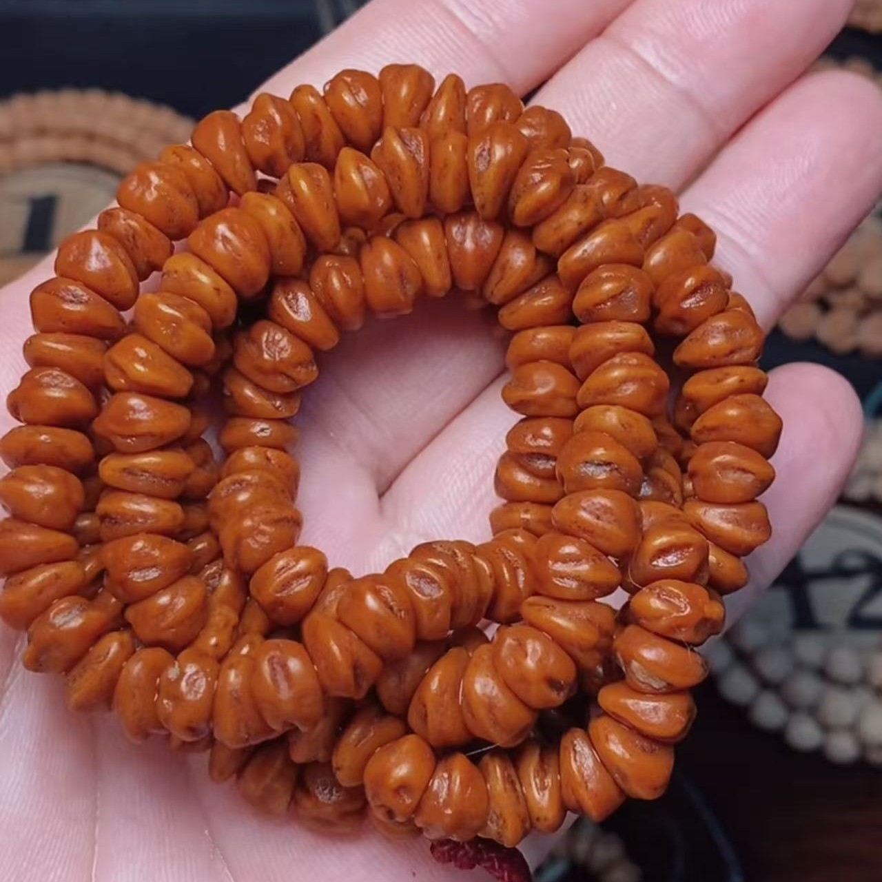 『赤月』红牙斜切百香籽，籽沉声脆，高油密大尺寸