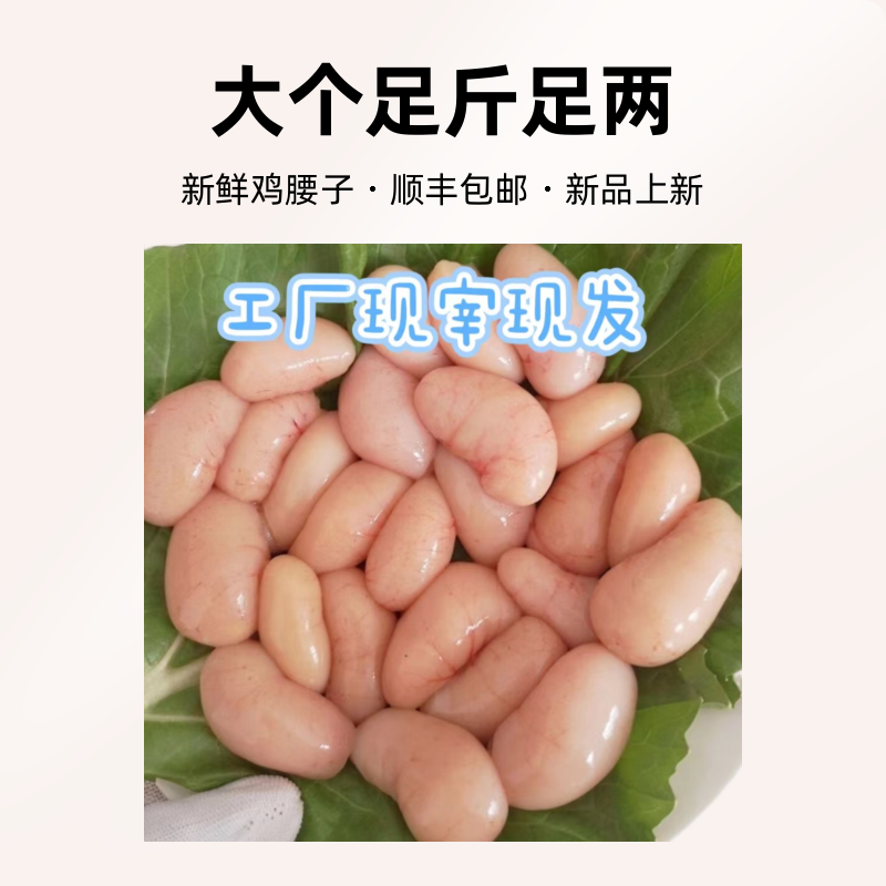 新鲜营养鸡腰子现杀鸡肾大个足斤足两顺丰包邮公鸡腰子鸡子生鲜