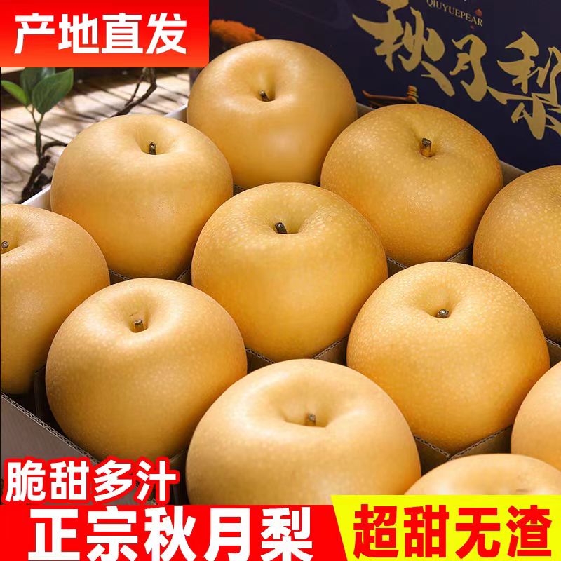 2025年山东秋月梨正宗莱阳秋月梨5斤中秋礼盒脆甜多汁应季水果