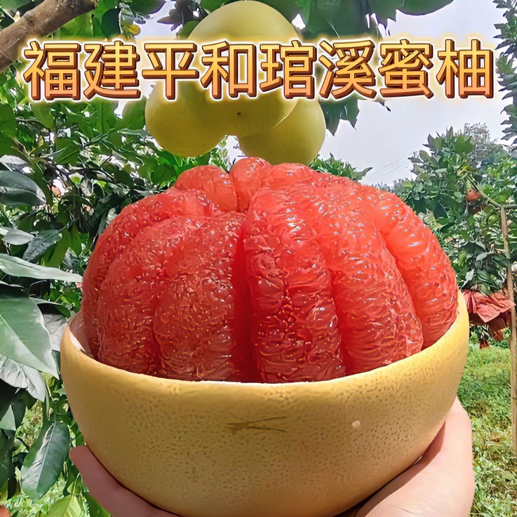 正宗平和琯溪蜜柚产地直发红心三红蜜柚酸甜多汁自然美味