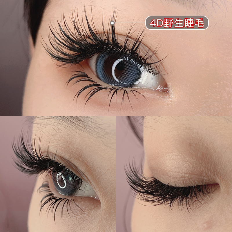 4D野生感多层级立体蓬松凌乱感嫁接睫毛中式山茶花单根多取3D5D