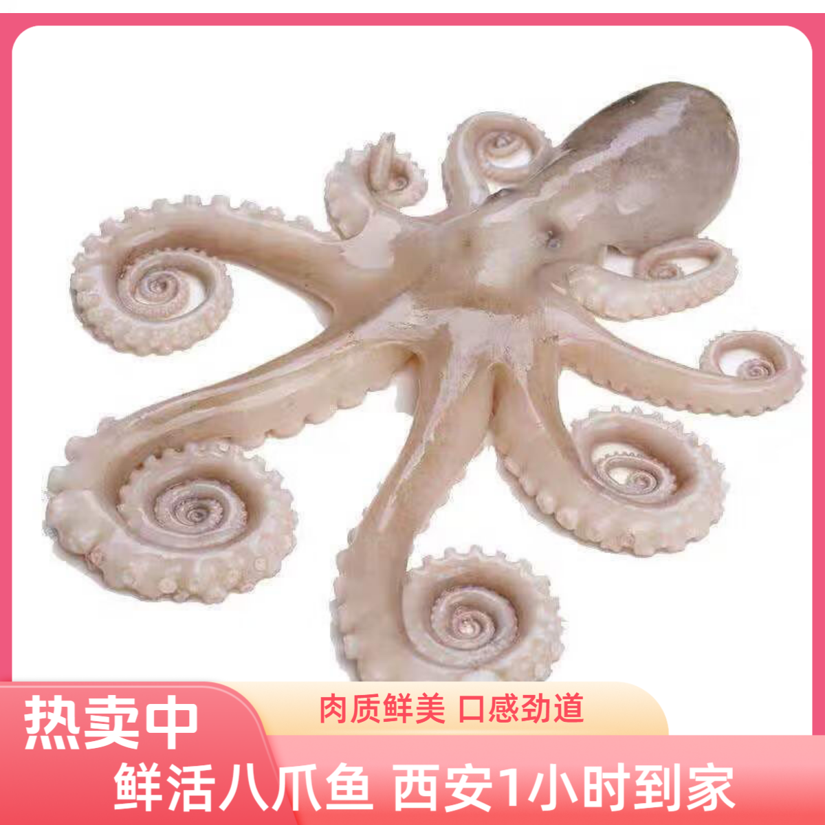【鲜活八爪鱼★西安1小时到家】主播推荐大海鲜活八爪鱼1斤 方欣大美