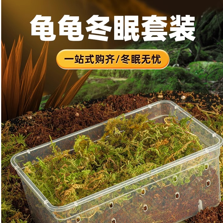 乌龟冬眠爬宠饲养盒寄居蟹仓鼠守宫过冬椰土苔藓保温恒温箱乌龟缸
