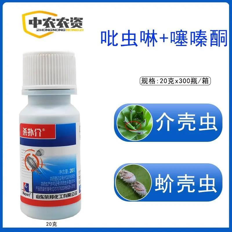 杀扑介吡虫啉噻嗪酮蚧壳虫专用杀虫剂介壳虫果树多肉蚧壳虫专用