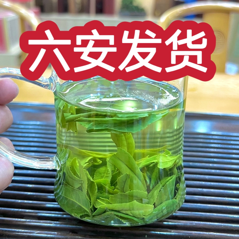 六安瓜片2025新茶安徽特产高山绿茶袋装250克浓香型耐泡春茶试喝