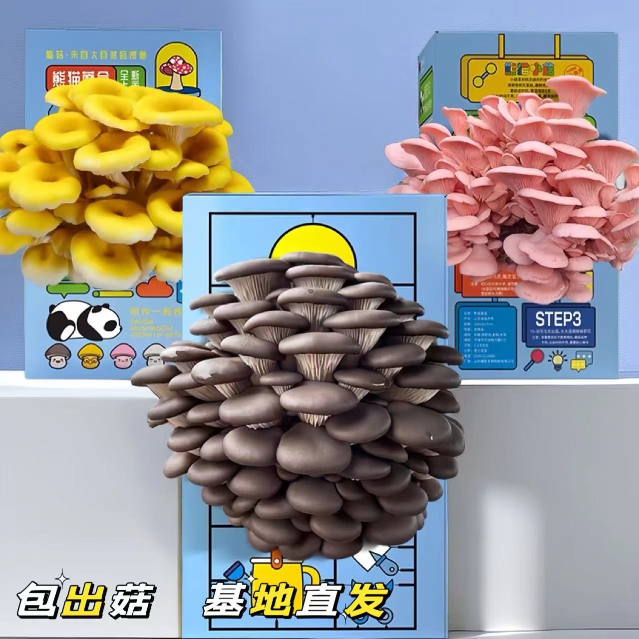 蘑菇种植菌包盒小学生家庭蘑菇菌包种植可食用科学小实验植物玩具