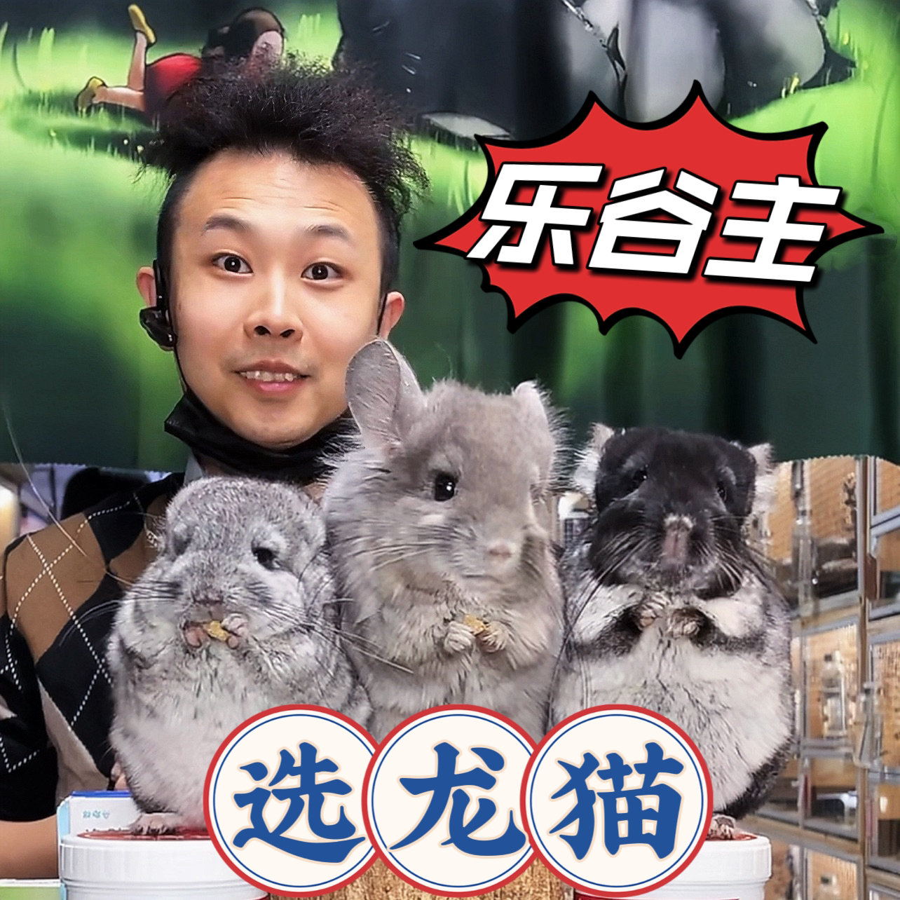 乐谷主直播间介绍龙猫饲养直播选龙猫解答咨询问题