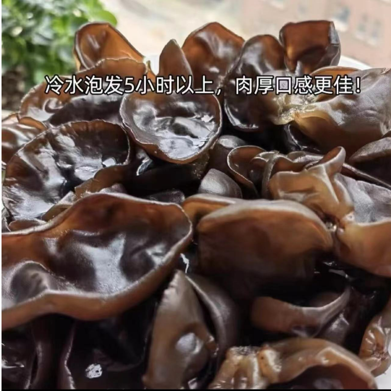 洛娃家黑木耳秋木耳肉厚500/克