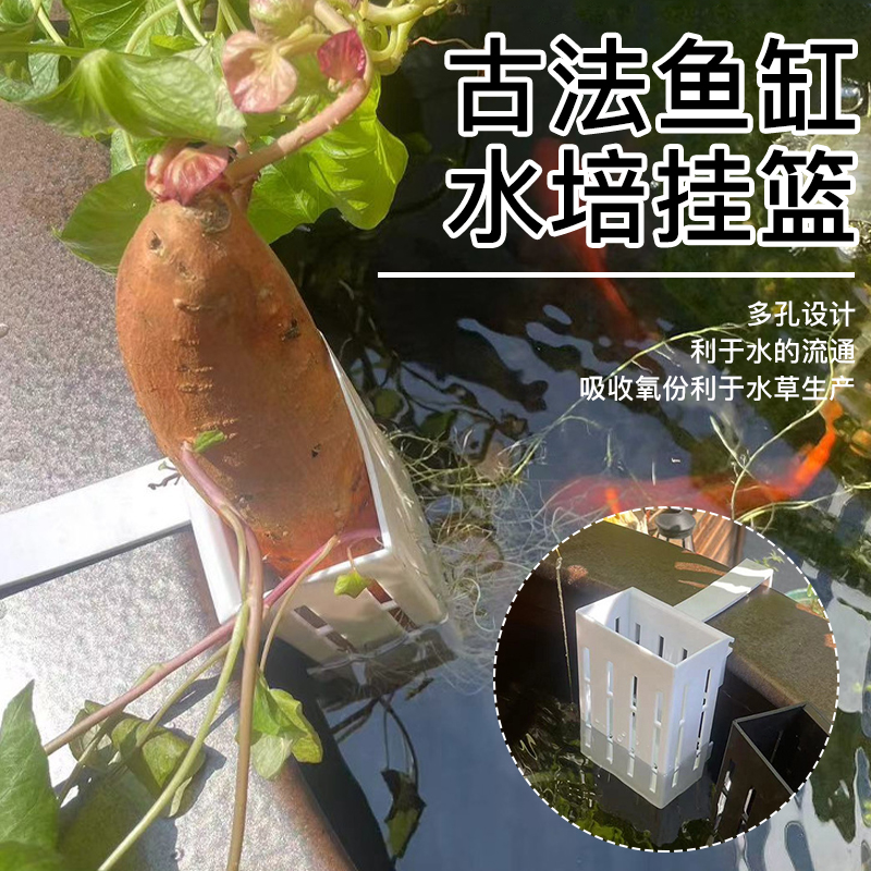【奇妙妙】壁挂式古法水培红薯篮水培定植造景装饰古法鱼缸水培挂篮
