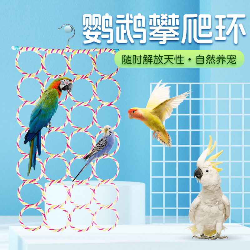 【宠大条】玄凤虎皮鹦鹉攀爬网梯子秋千吊环玩具解闷自嗨云梯站杆