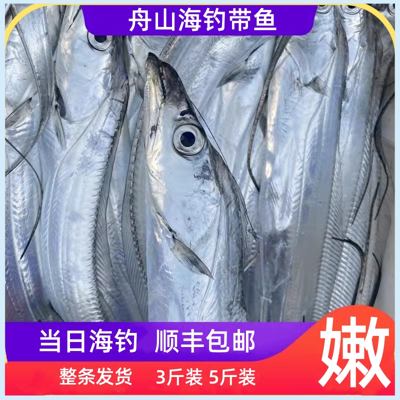 舟山带鱼 海钓大带鱼 1-2斤/条  顺丰冷链新鲜鲜嫩