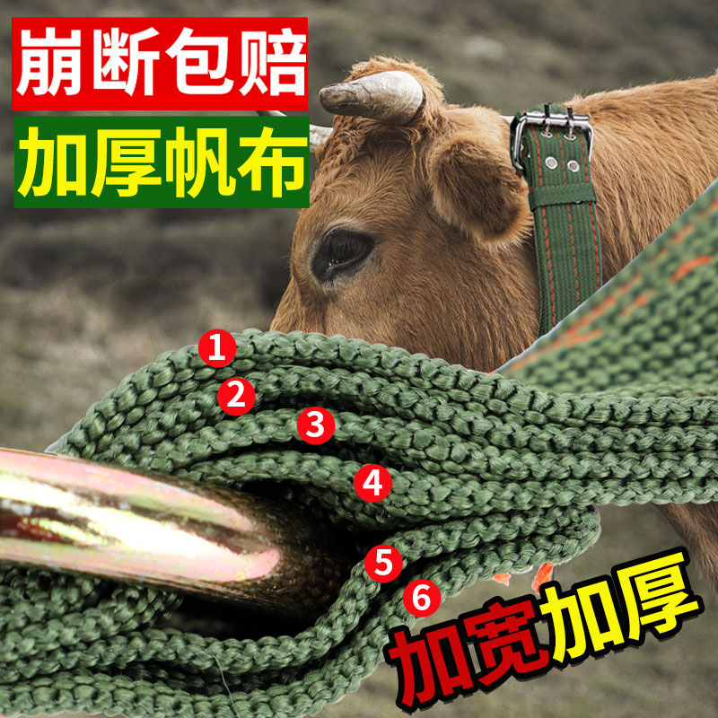 加厚栓牛脖套保险扣神器羊用项圈牛脖子套拴牛专用绳子牛用品大全