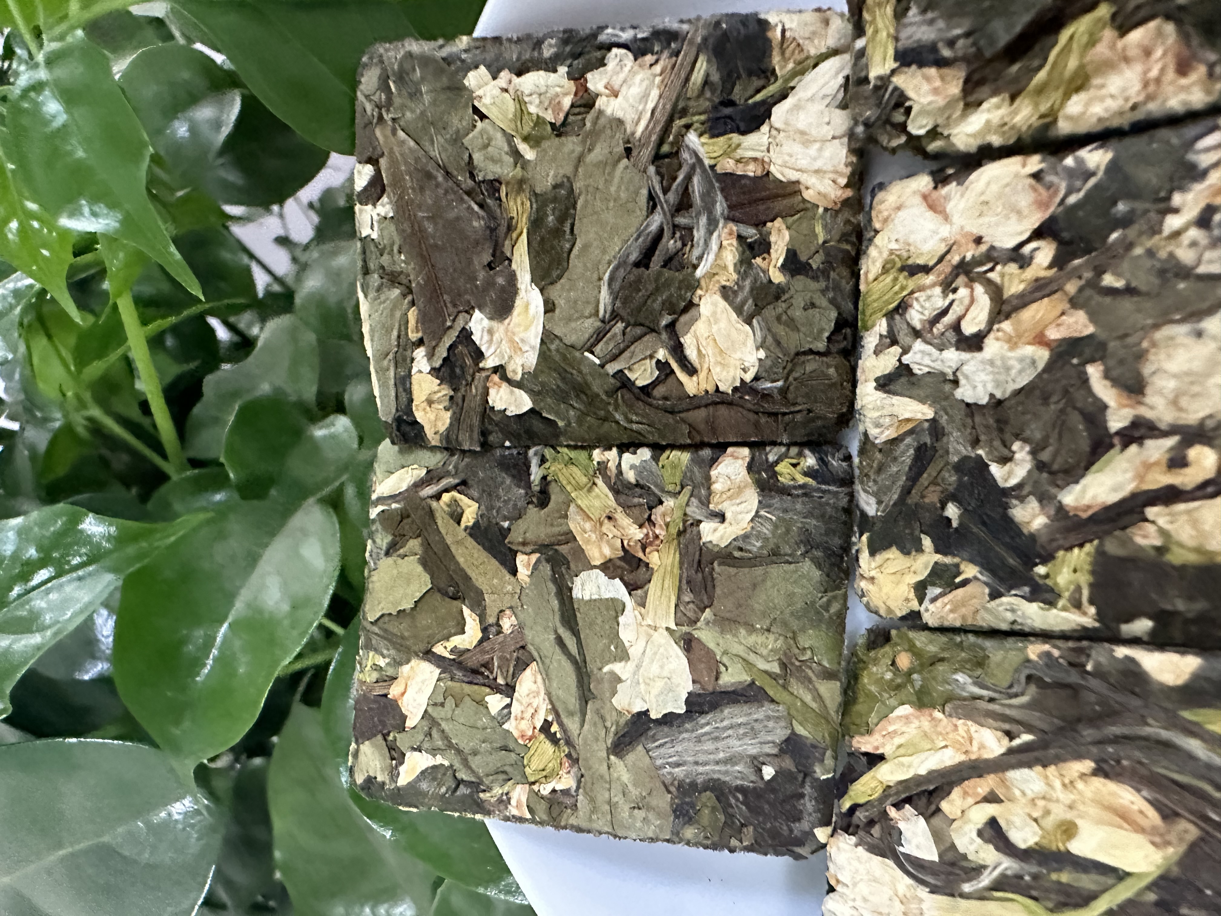 【康潮一品】2022年茉莉牡丹饼干