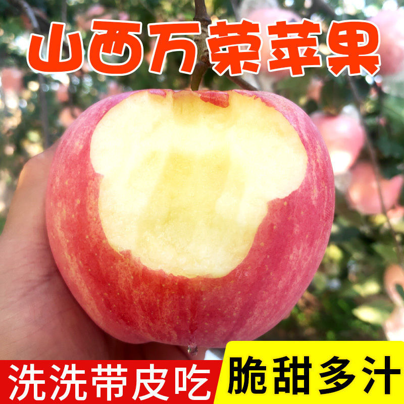 果中邢高山正宗红富士苹果新鲜水果脆甜冰糖心丑苹果现摘原产地