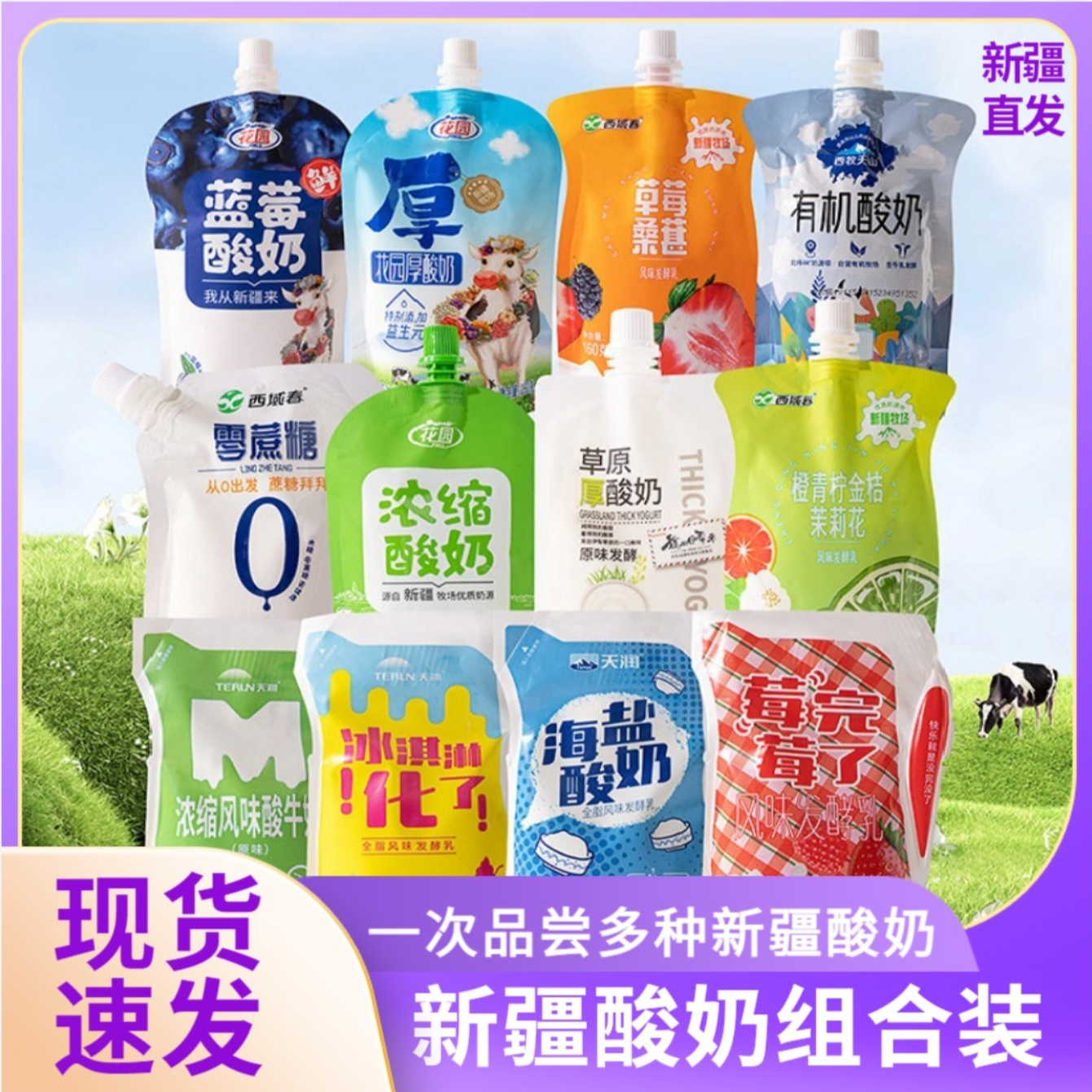 （新疆酸奶组合装）新疆酸奶爱克林装花园西牧天山伊牧欣