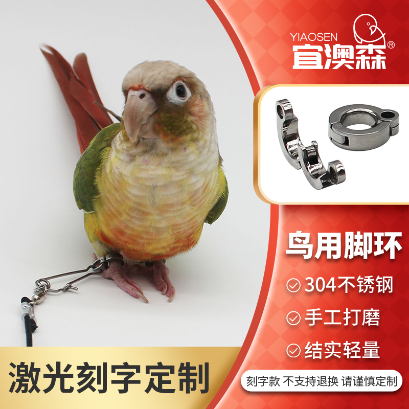 定制开口304不锈钢鸟脚环脚链放飞绳鹦鹉玄凤太八哥牡丹撩哥虎皮
