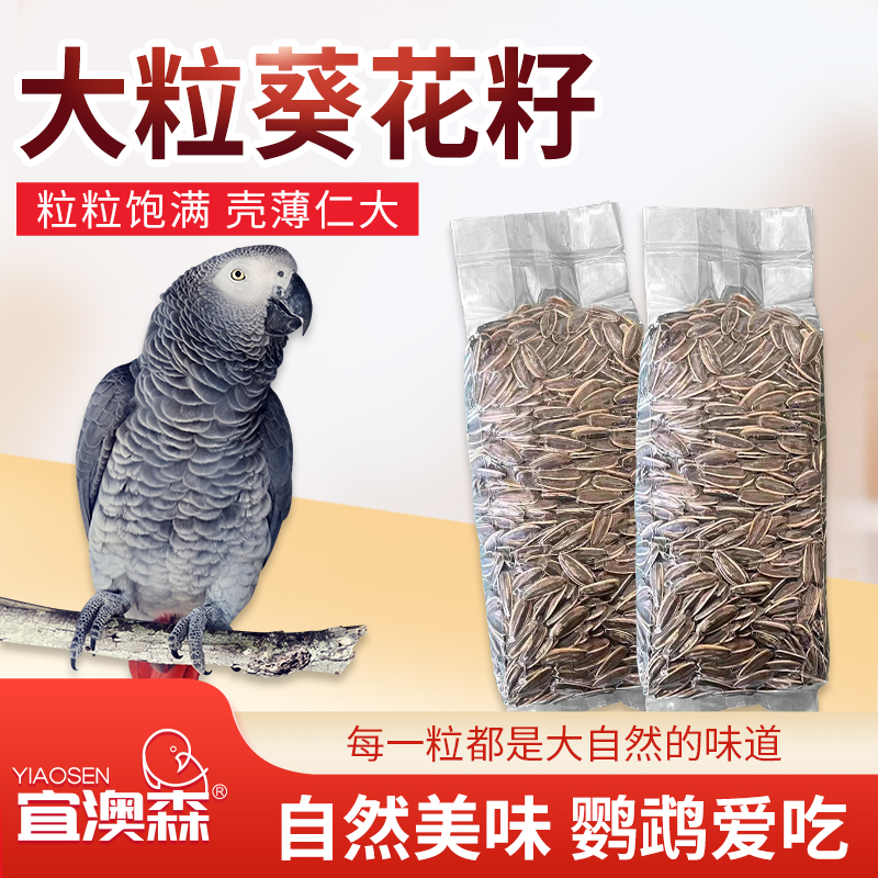 优质新鲜中大鹦鹉粮大颗粒生瓜子大瓜子鸟粮大型鹦鹉鸟饲料仓鼠粮
