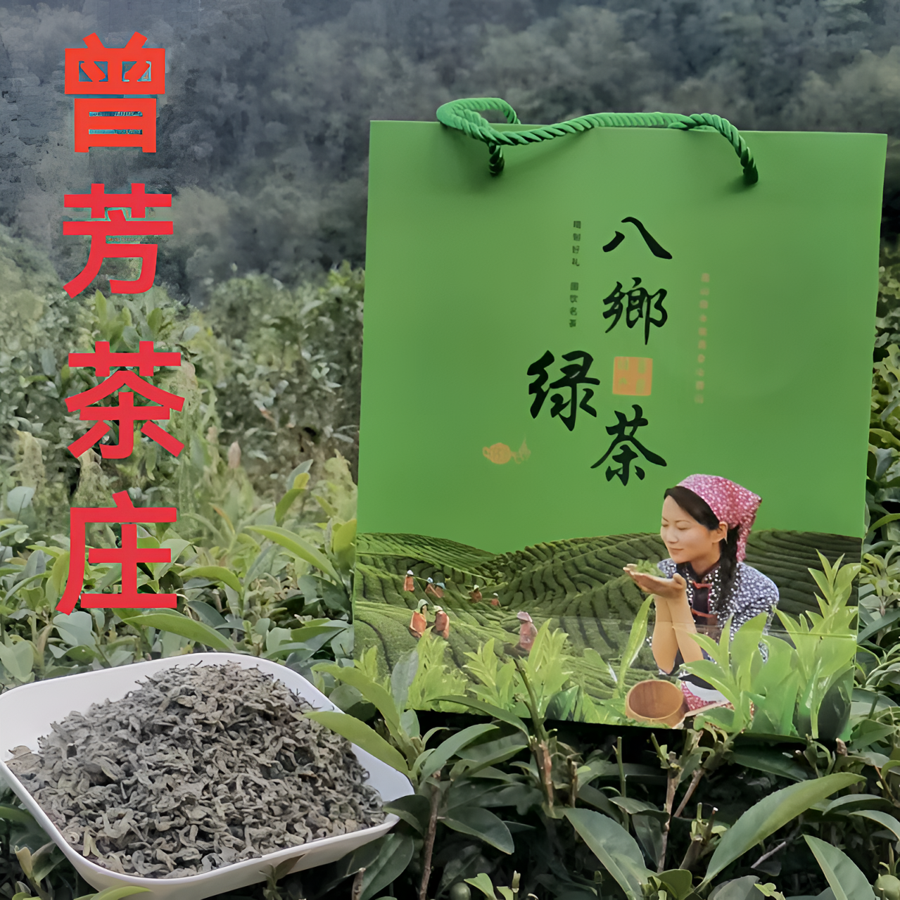八乡山传统手工摘炒柴火炒绿茶一罐半斤装