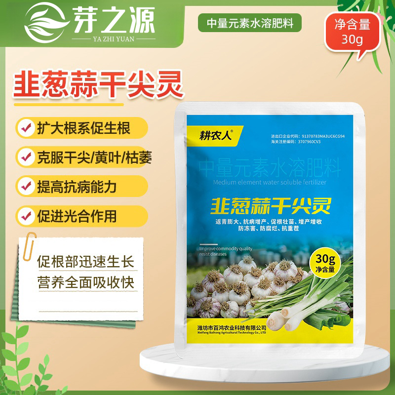 韭葱蒜干尖灵姜大葱大蒜烂根黄叶死棵干尖专用中量元素水溶肥培养