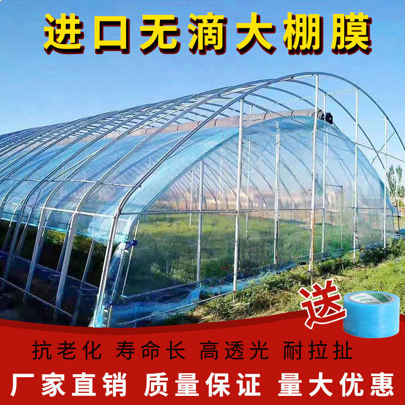 抗老化大棚塑料膜长无滴膜便宜膜透明加厚塑料布蔬菜养殖保温棚膜