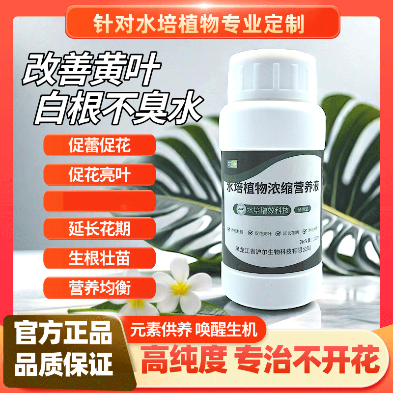 北施水培植物专用营养液观音竹富贵竹郁金香铜钱草通用型