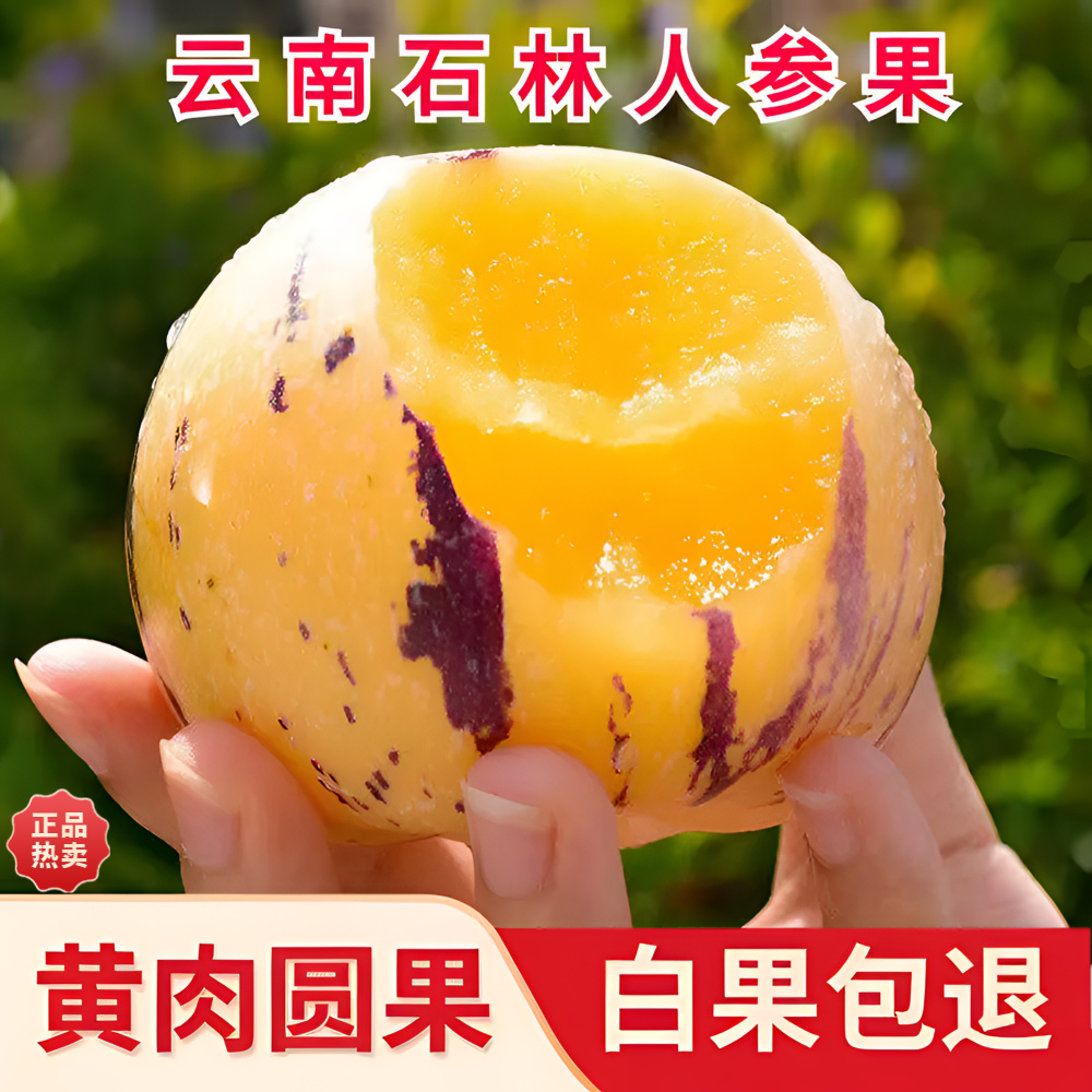 正宗云南石林人参果大果特大当季新鲜孕妇低糖水果人生果黄心黄肉