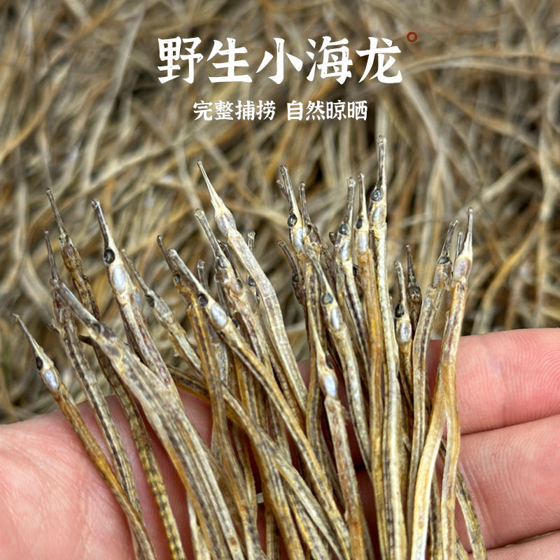 野生小海龙煲汤油炸泡酒足干滋补干货