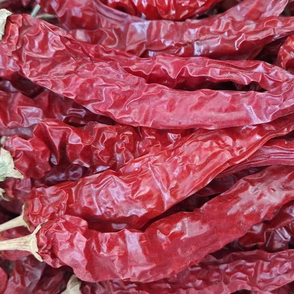 【东北铁柱专属】东北特产干红辣椒