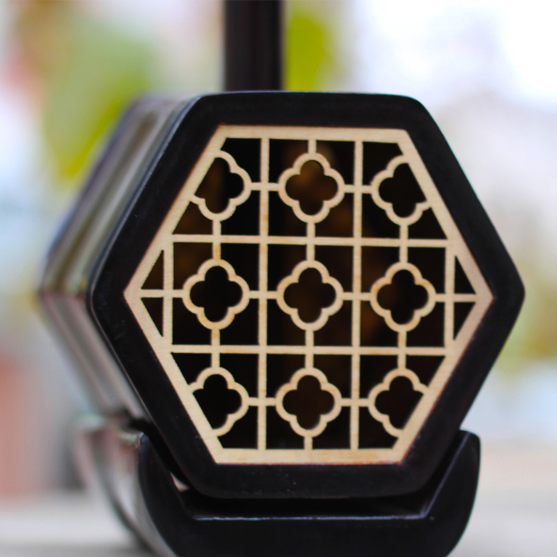 初学爱好者的福音 新手入门级演奏音量大演奏琴