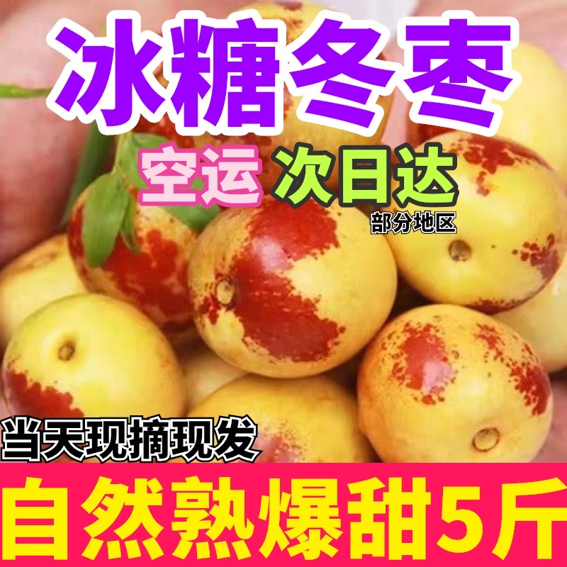 【双11福利抢100单】山东沾化脆甜冬枣现摘新鲜脆甜糖冬枣新鲜速发