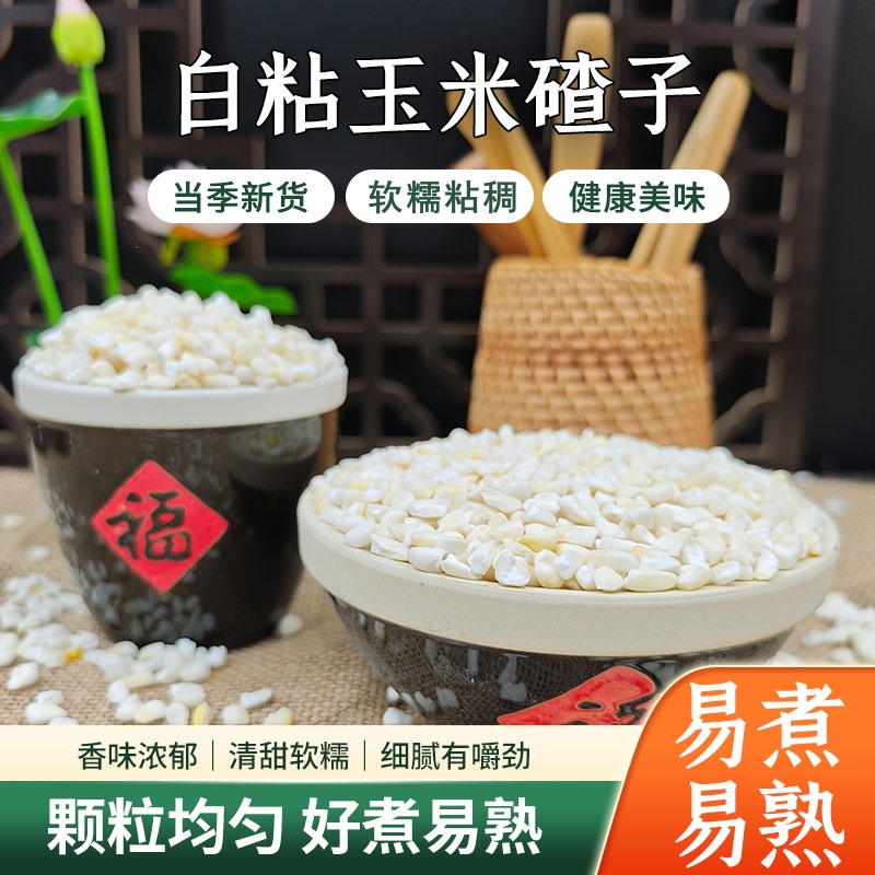 鲜农子正宗东北白粘大碴子粘碴子农家粗粮笨苞米茬子煮大碴粥新粮