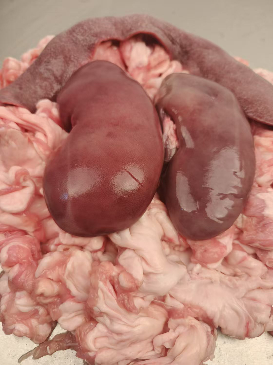 东北炸三样鸡冠油3.5斤➕猪沙肝1斤➕猪腰子2只共5斤装