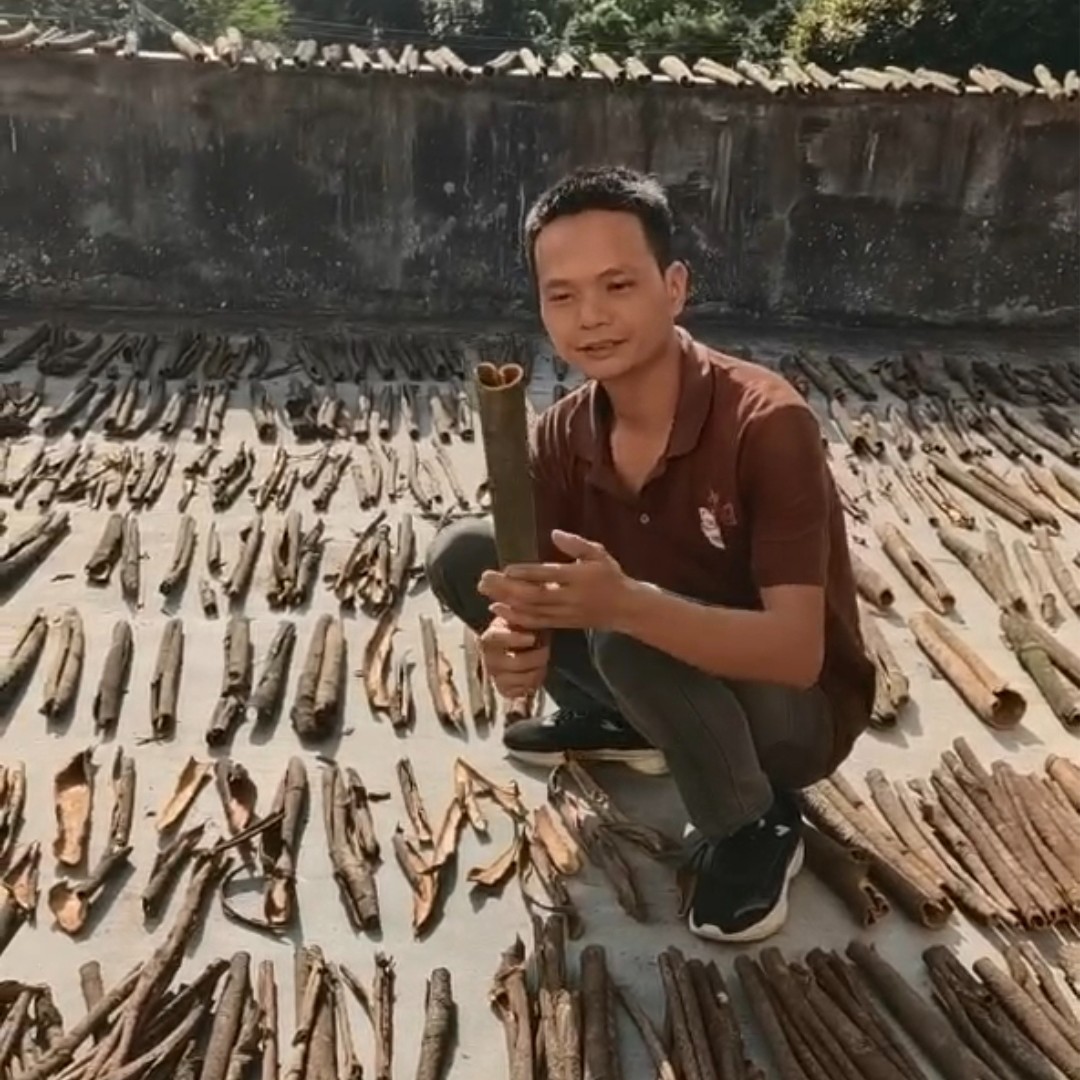 特色农产 I 农家自晒桂枝皮250g/500g/1000g农产品原产自然野生