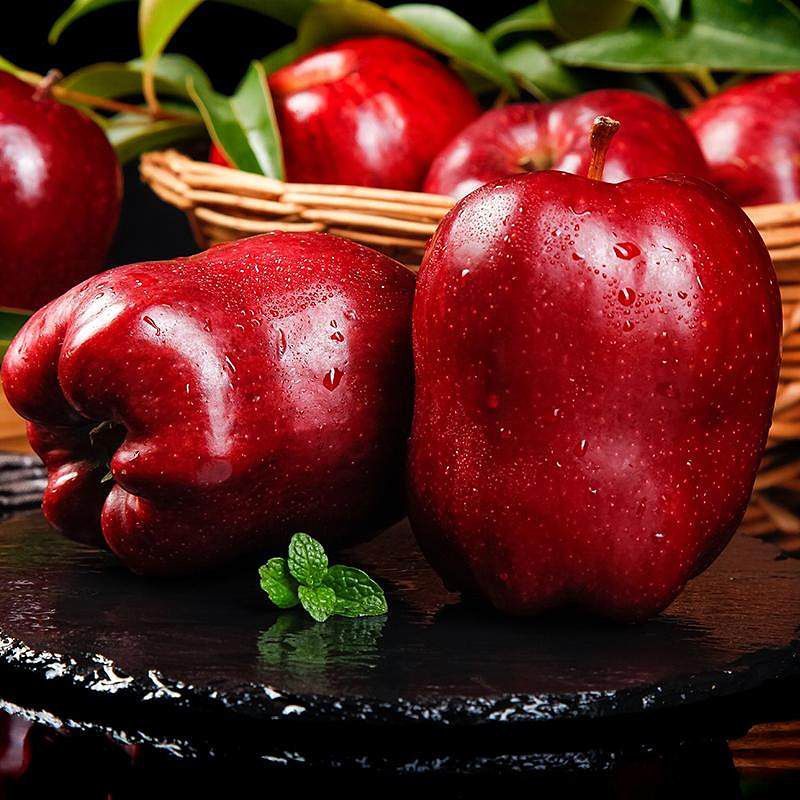 【甘肃天水花牛苹果】直脆农家种植香味沙甜的花牛水分大饱新鲜采摘