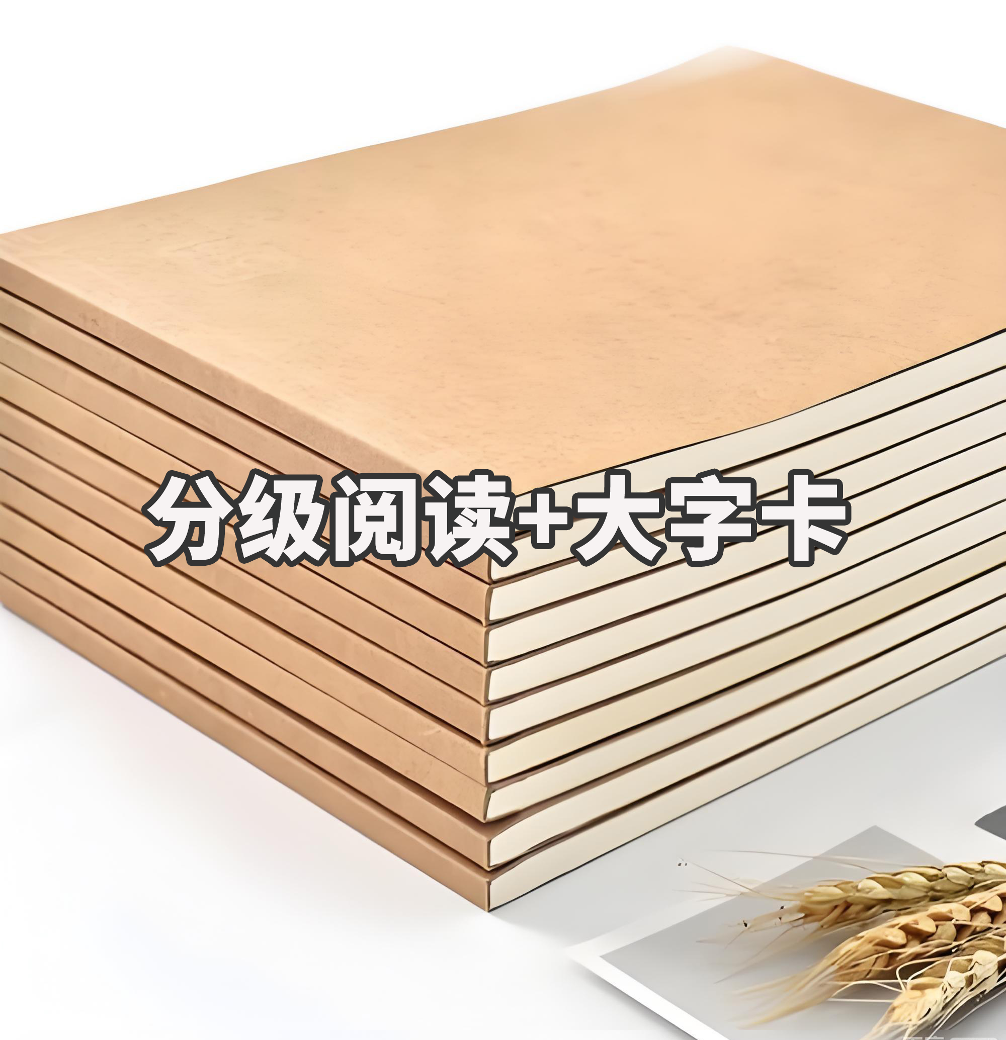 【老师推荐3313汉字】同款字词分级阅读册资料册