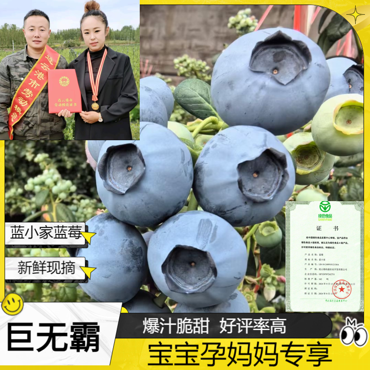 蓝小家巨无霸A［22-28mm］云南高山新鲜蓝莓现摘现发（孕妈宝宝专享）