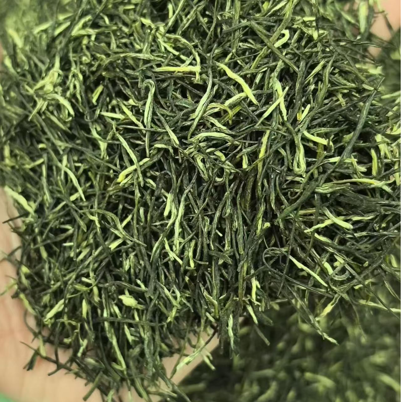 2025新茶高山毛尖绿茶明前茶鲜爽回甘型绿茶嫩芽嫩叶春茶